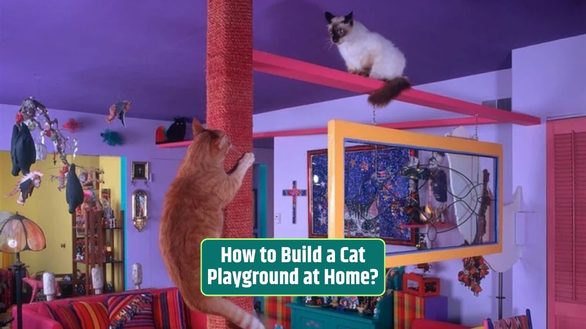 Cat playground, DIY cat toys, cat entertainment, homemade cat playground,
