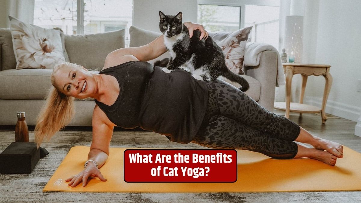 Cat yoga, cat-aste yoga, stress reduction, flexibility, mindfulness, exercise for cats, animal welfare, cat lovers, feline companionship,